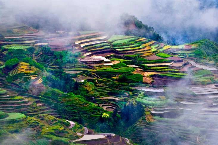 比起诗和远方我更喜欢有你的地方,这辈子总要去一趟丽水