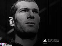 献给踢足球的男孩,献给每一个热爱足球的人