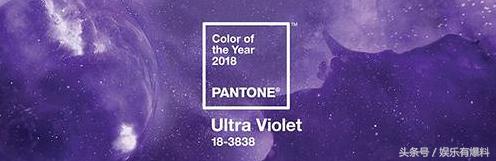 站在食物链最顶端的是什么,站在食物链的最顶端