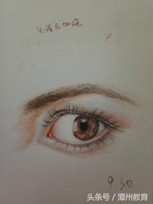 潭州教育彩铅画免费课程,潭州教育手绘教程