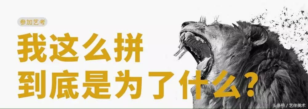 栾树画室北京,栾树画室有集训吗