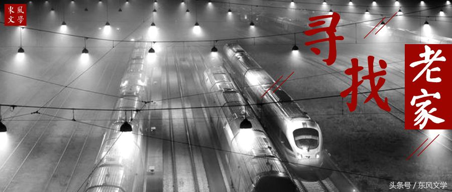 【东风文学】第274期柳岸闻莺︱冯玲散文:省亲记