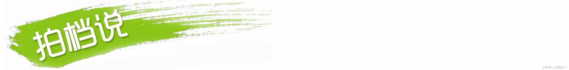 牛油果是如何风靡全球的,牛油果是怎样炒作起来的