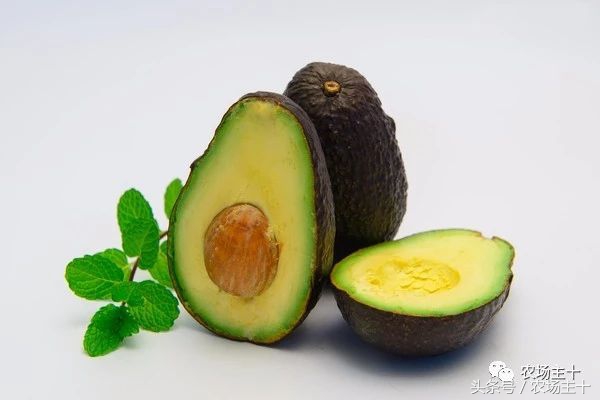 牛油果是怎么炒作起来的,牛油果是怎样炒作起来的