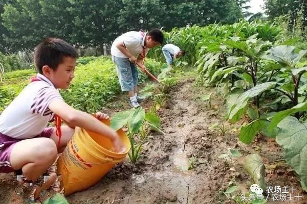 成功的休闲农庄需要具备哪些条件,做休闲农庄必须考虑的几个问题