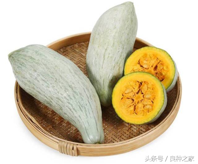 餐桌上常见的本土作物是什么,10种常见的粮食作物