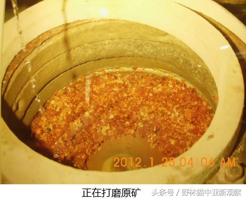 野林猫之-俄罗斯琥珀之都探秘