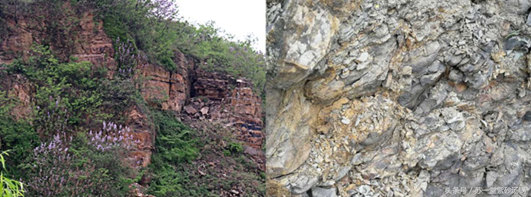 中国紫砂锅,正宗紫砂锅第一名