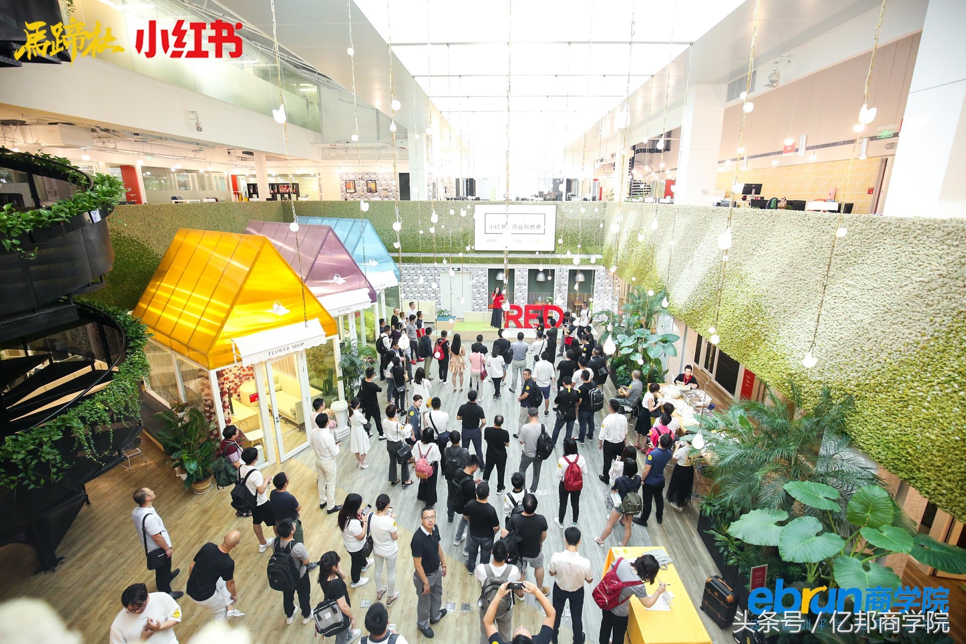 马蹄社2019游学,马蹄社日本游学课