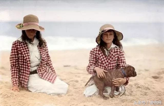 一群狗狗照片,82年的狗唯一一张的照片