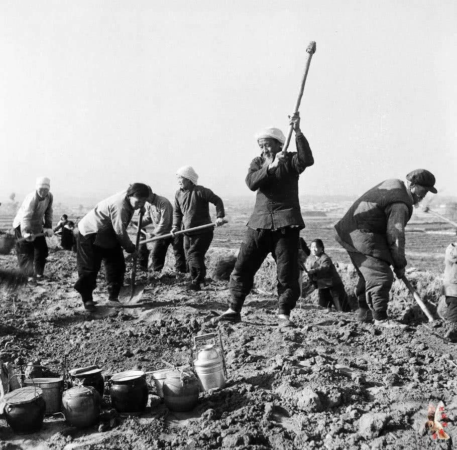 河南饥荒1942真实事件原因,1942河南饥荒历史事件真实影像