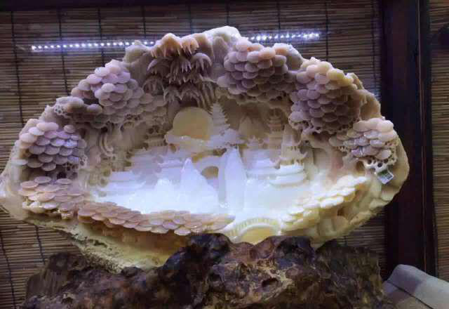 佛教七大珍宝砗磲,佛教七宝贝壳