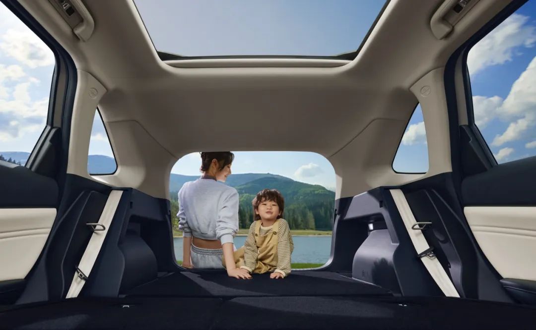 哈弗枭龙max轻混四驱,哈弗枭龙max混动七座多少钱一辆