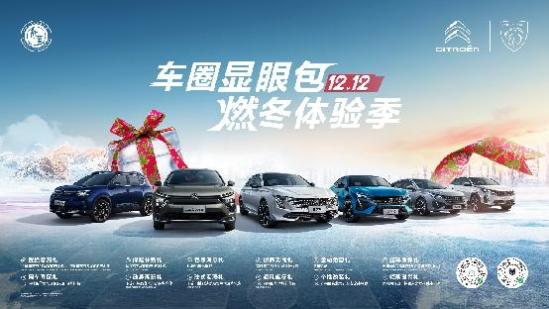 标致雪铁龙在哪些国家销量好,标致雪铁龙在欧洲价格