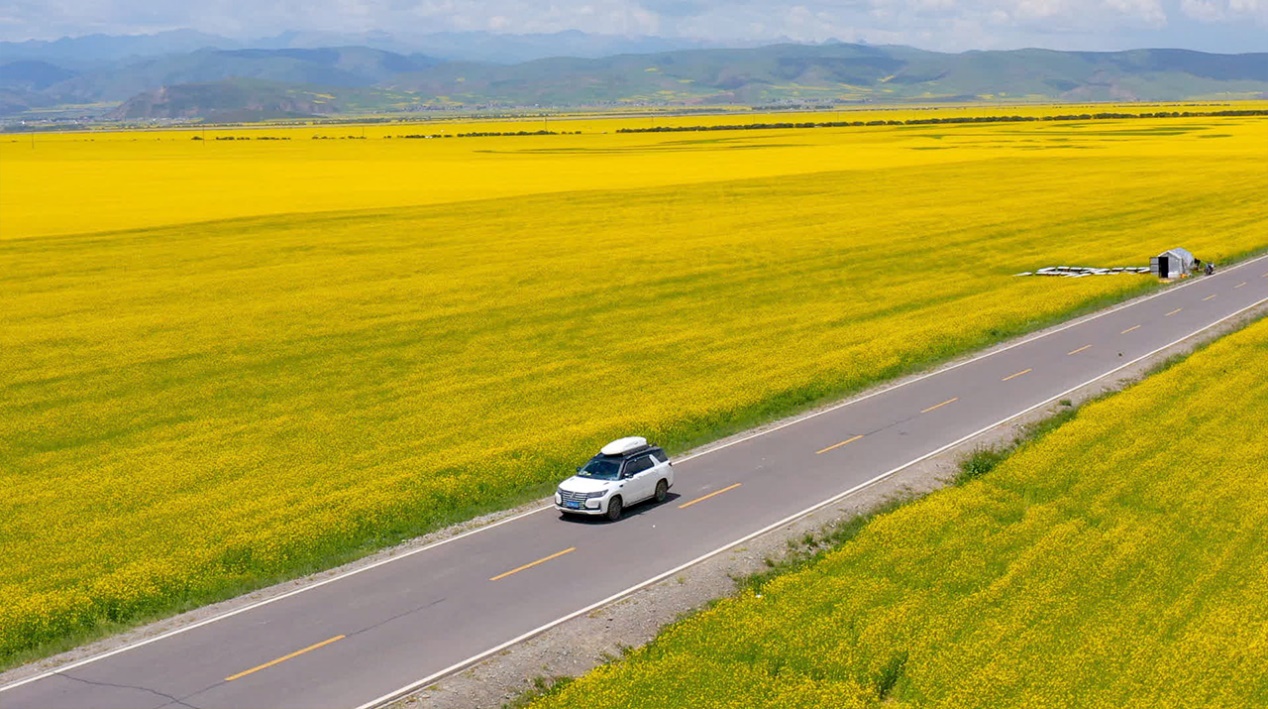 放弃a6选择ct6,放弃奥迪a6选择辉昂