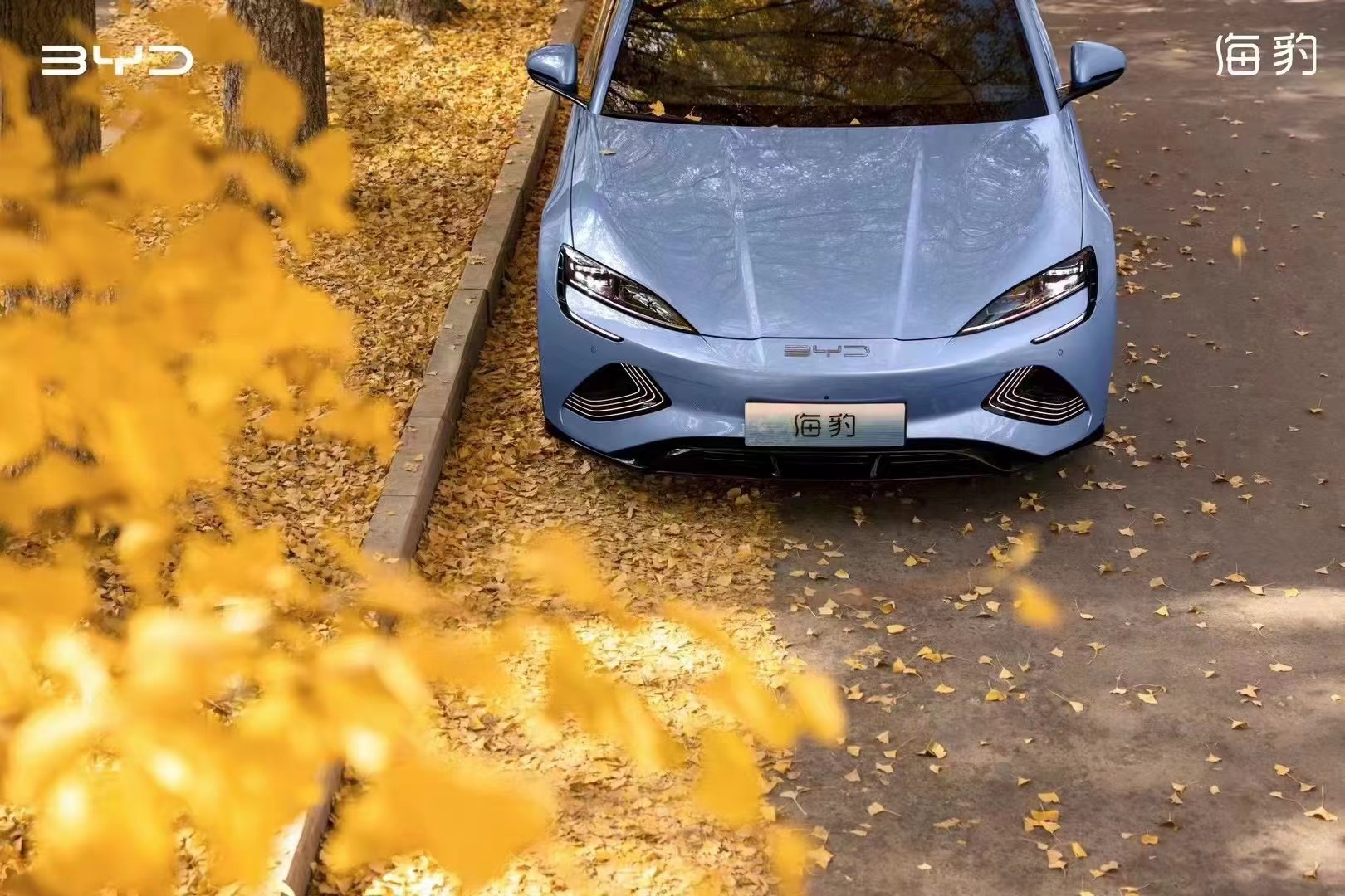 今年买车买什么车？当然是来邯郸南环比亚迪旗舰店买海豹喽