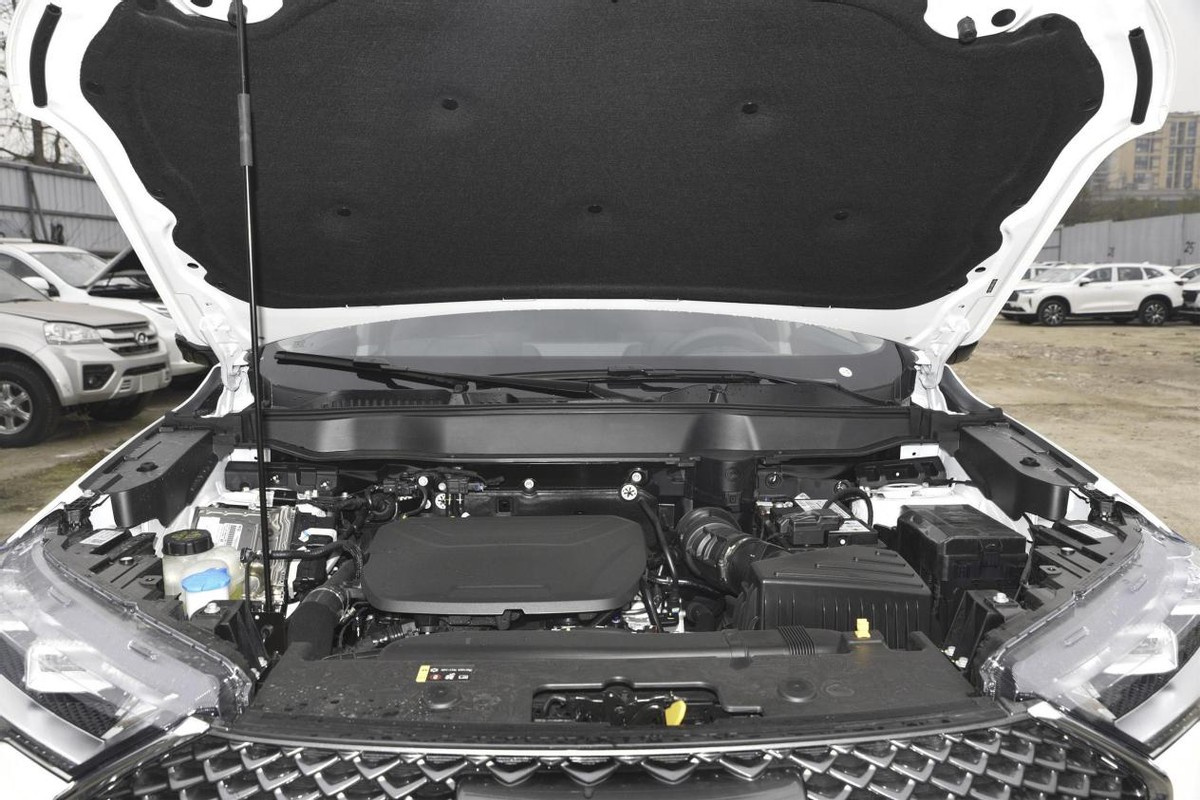 体验哈弗h6,体验哈弗h6国潮冠军版