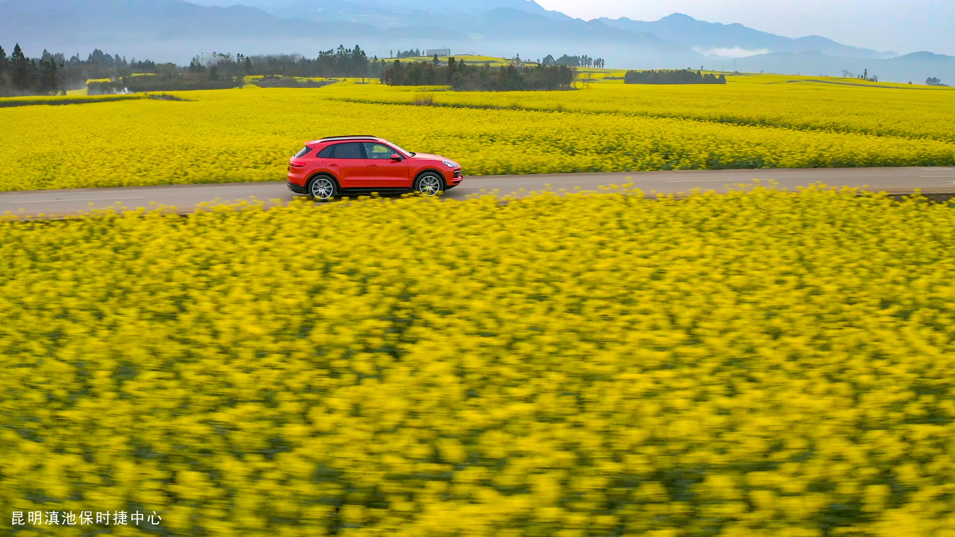 不止眼前的苟且还有诗和远方许巍,生活不止眼前的苟且许巍