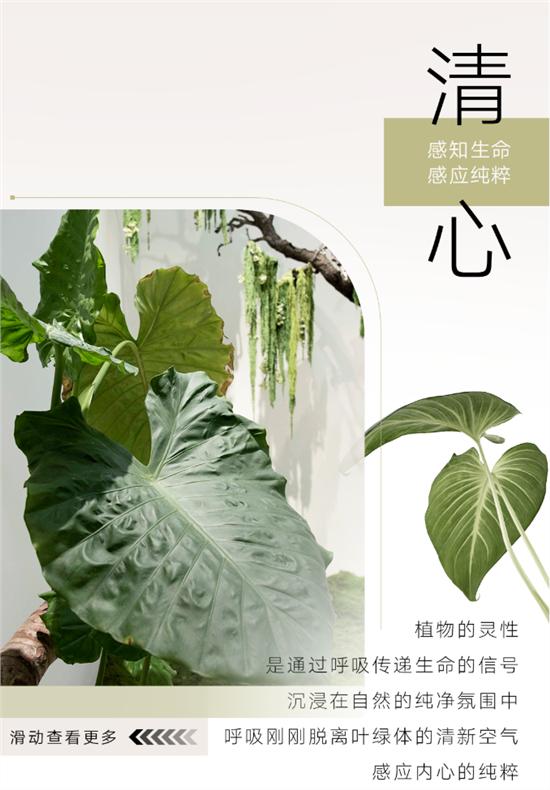 随心马克笔第二期盛放如花