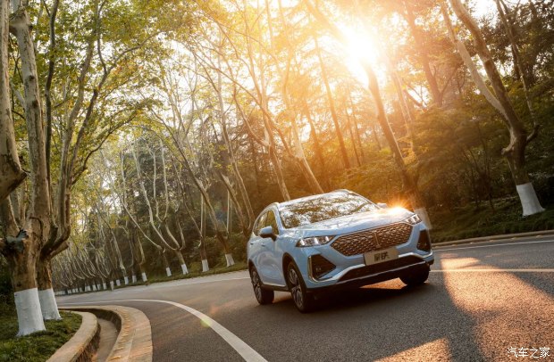 科技平权,拿铁汽车性能排名