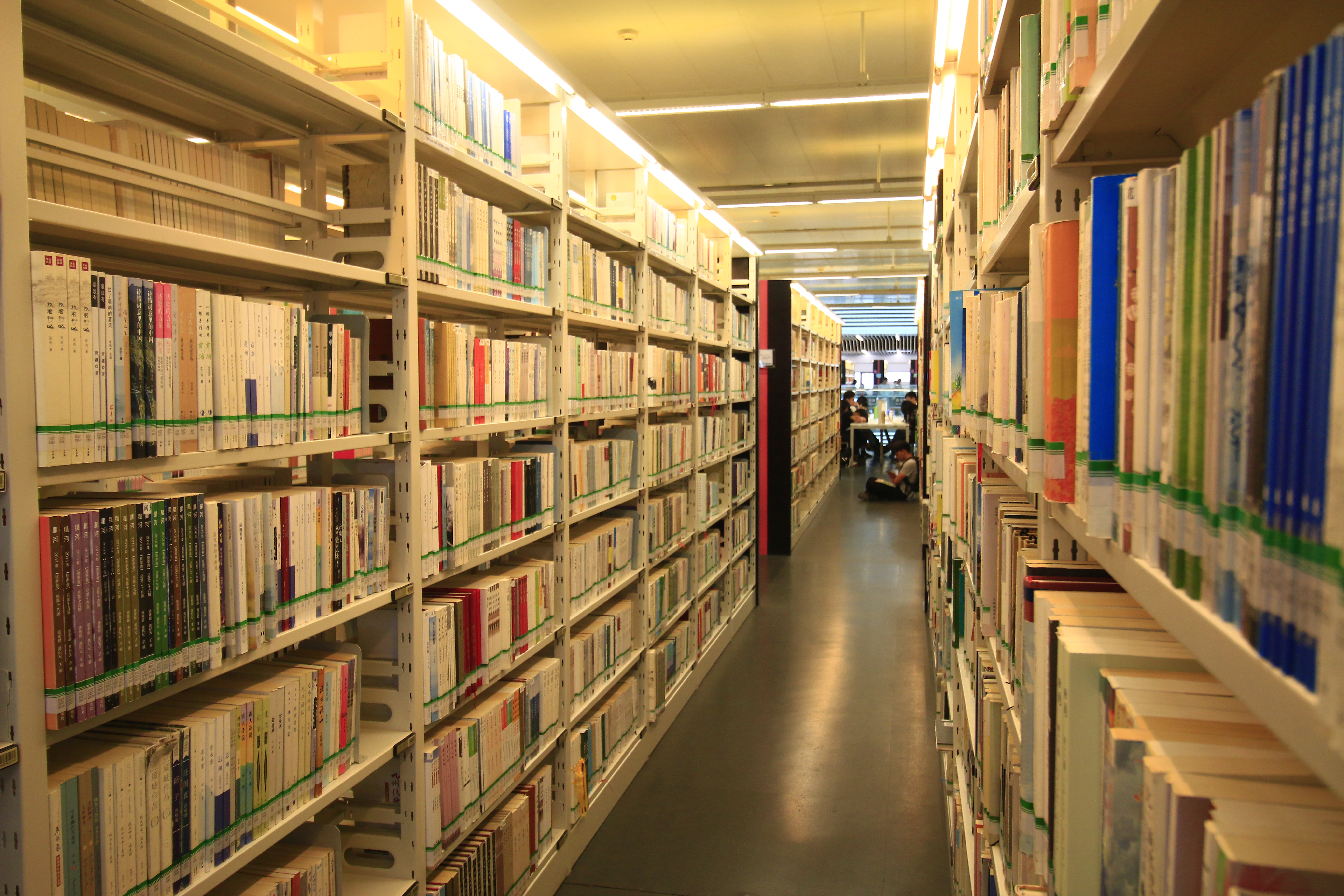 新教育实验内容简介,新教育实践教学