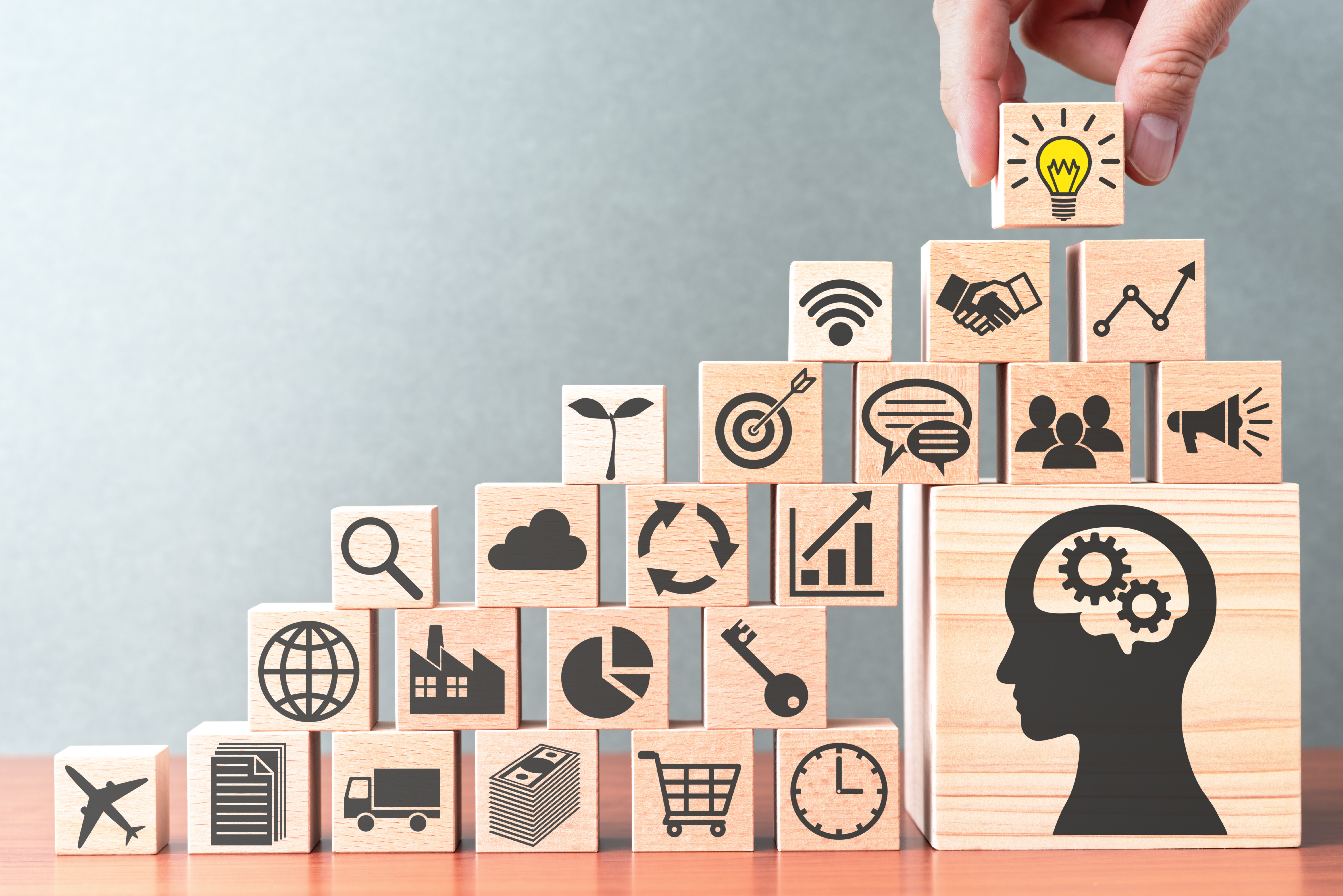 法律法规规定不得录用的其他情形,劳动法关于生育政策