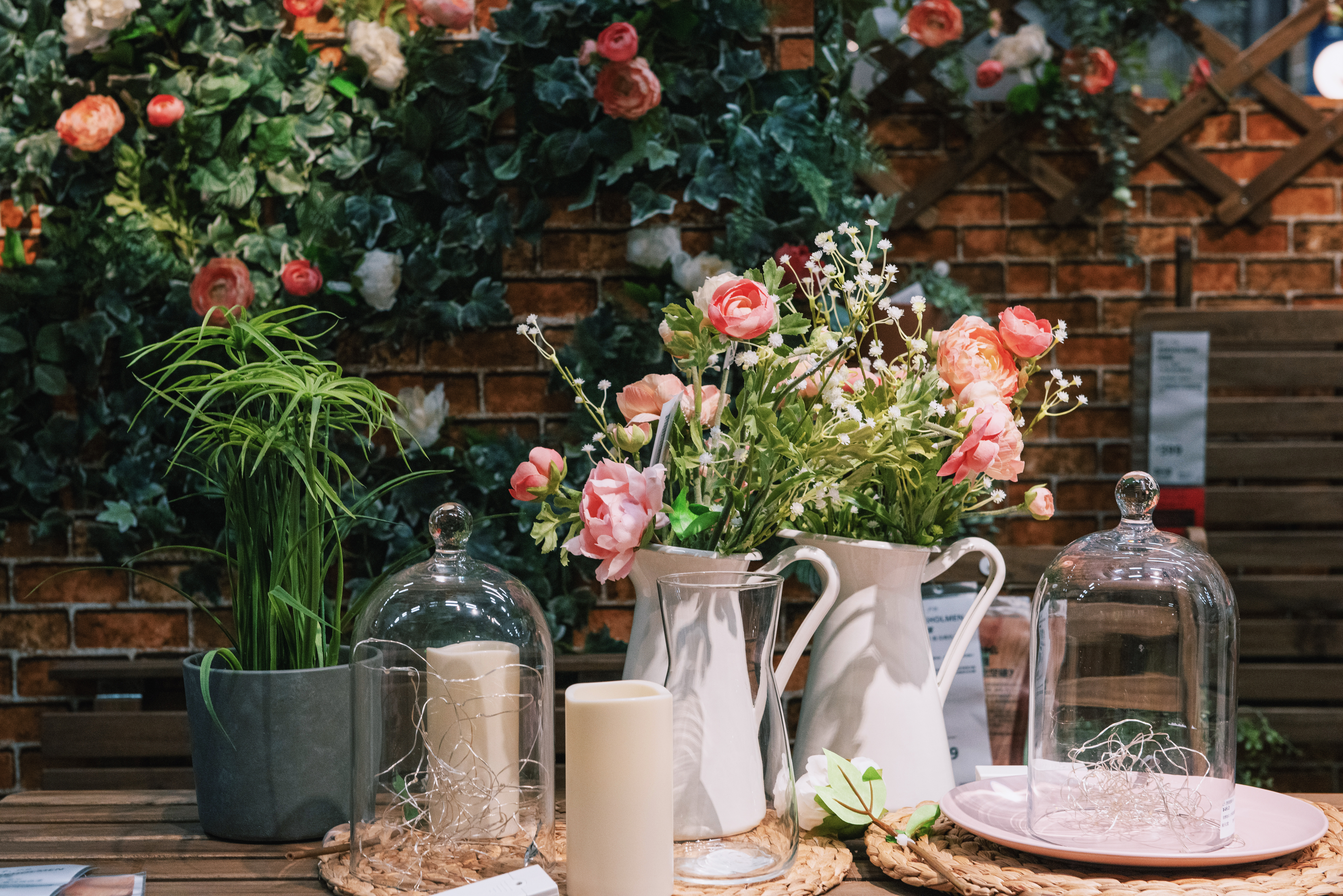 孔雀开屏故事完整版,孔雀要开屏的故事