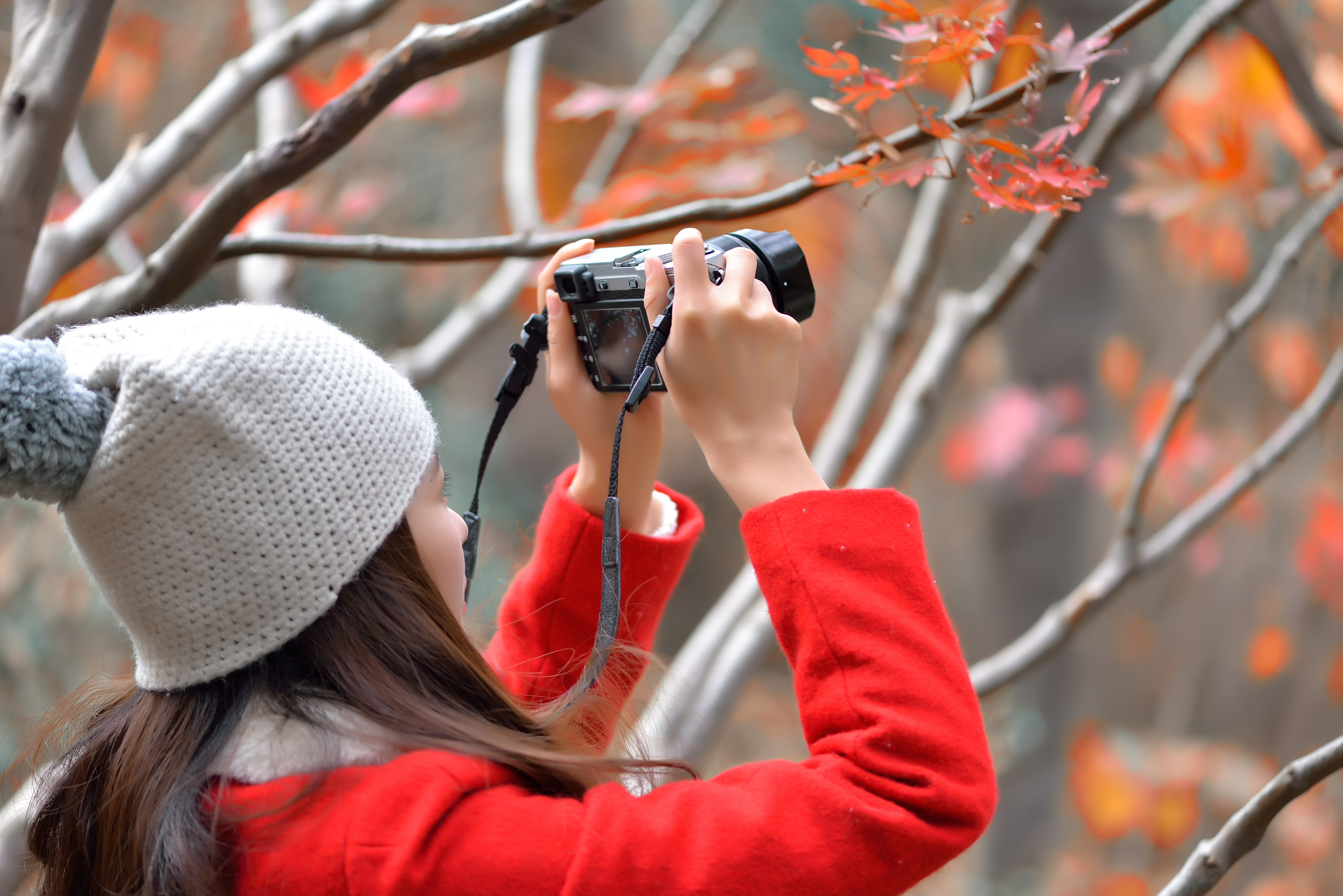 派大星秀,派大星和海绵宝宝
