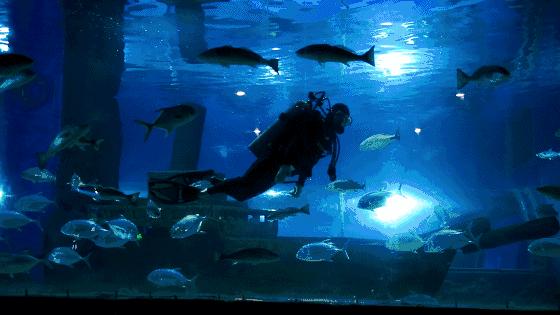 100个梦幻乐园,超2000平的梦幻王国游乐场