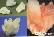 动物中药功效大全,中药药材大全及功效