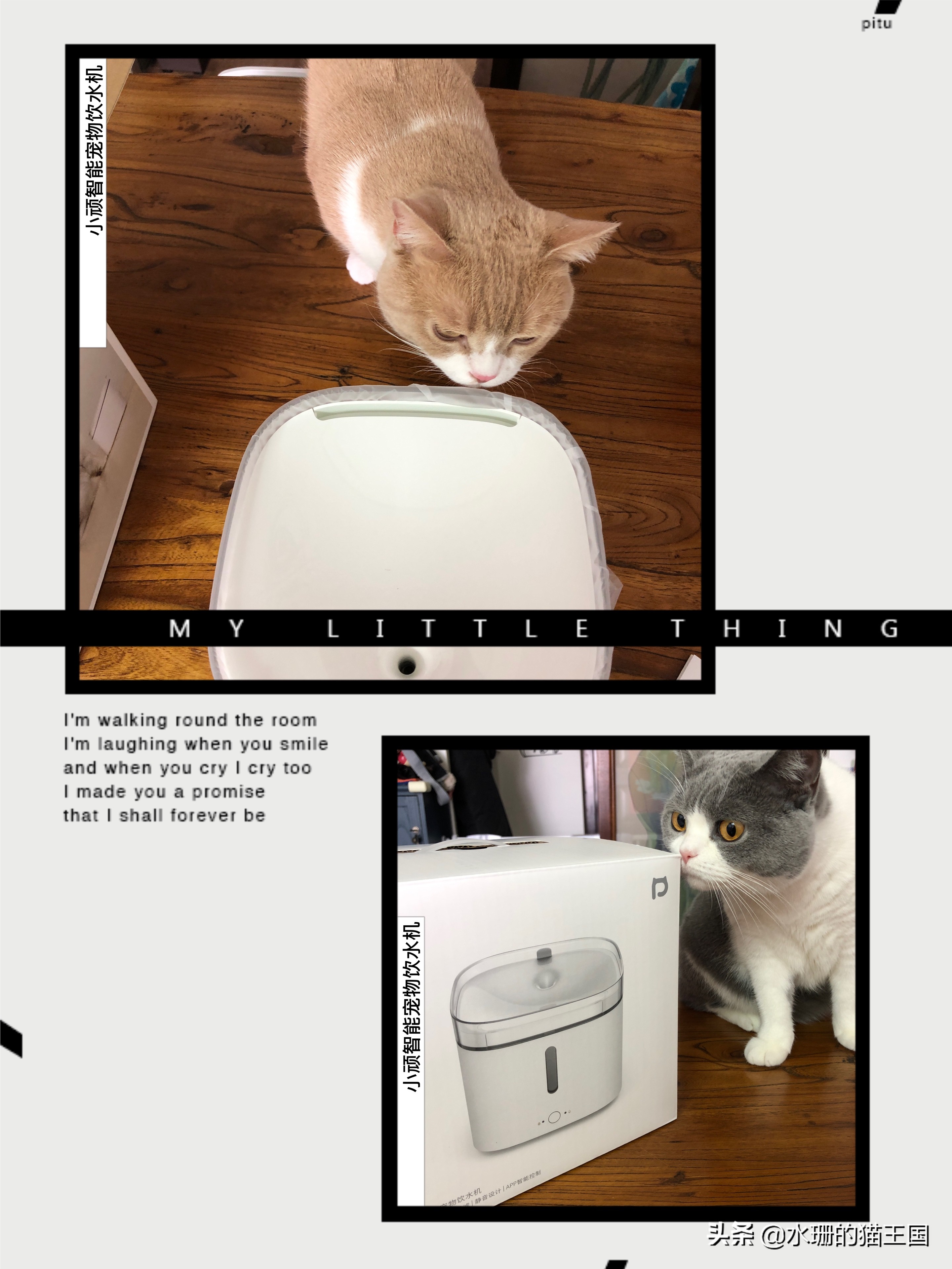 小顽智能宠物饮水机怎么使用,小清泉宠物无线饮水机测评