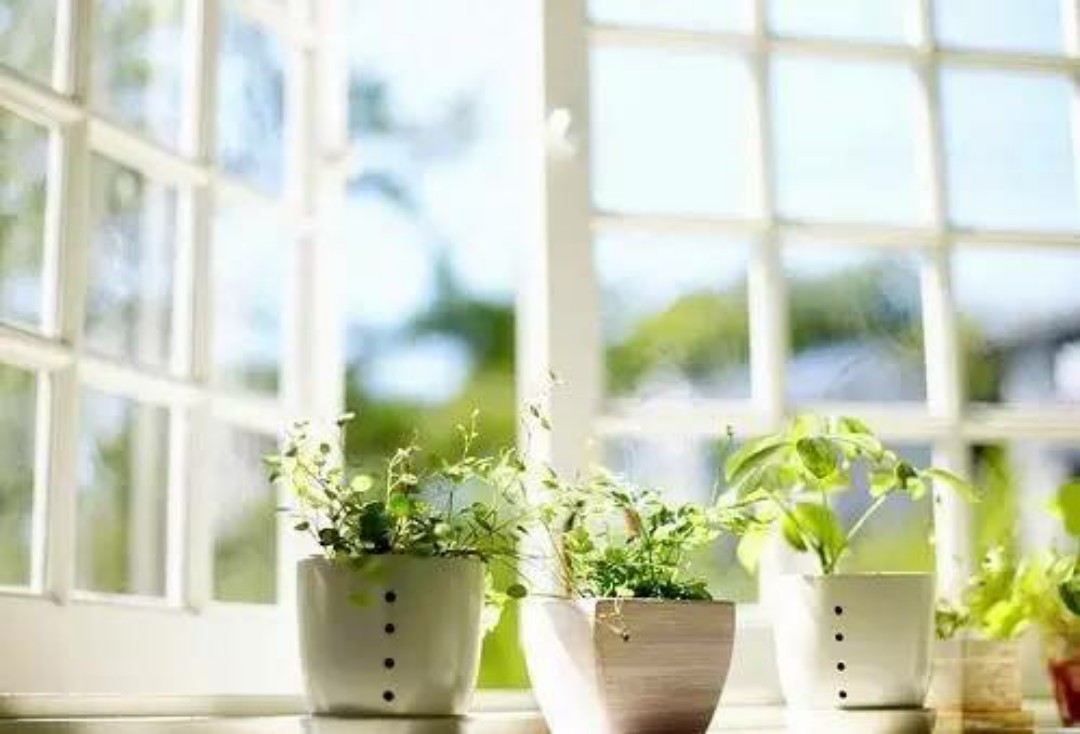 湿疹反复发作怎么用药,宝宝湿疹反复不好中药治疗