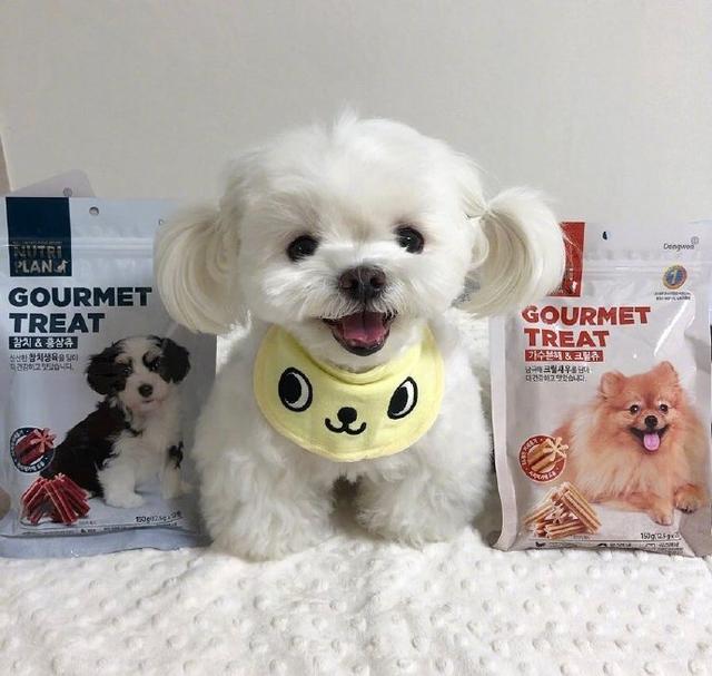 能让人笑到肚子疼的笑话简短,幽默笑死人的短句笑话大全