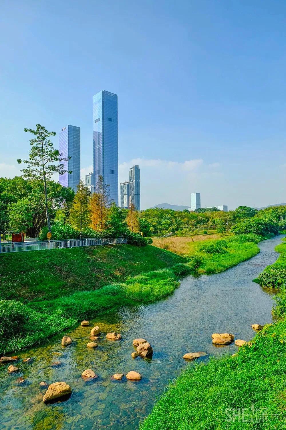 深圳这10条绿道你去过没,深圳十大绿道排行榜