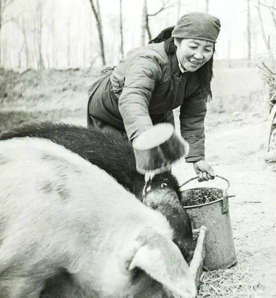 生产队时期和现在相比哪个阶段最好？农村90岁老大爷说出了真心话