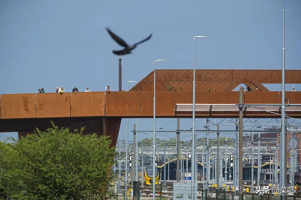 菜吧农庄创意设计,菜吧生态园规划