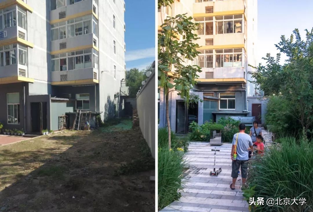 北大学校是怎么建的,感受一下北大校园