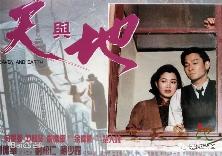 我的母校天津,我的母校20周年