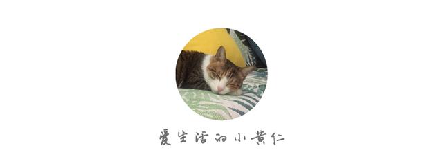 1屋2人3猫，她家是日式收纳美学典范！还有猫咪专用房，吸粉80万