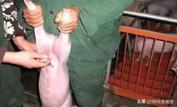 皮下静脉输液教学,皮下注射方法和位置