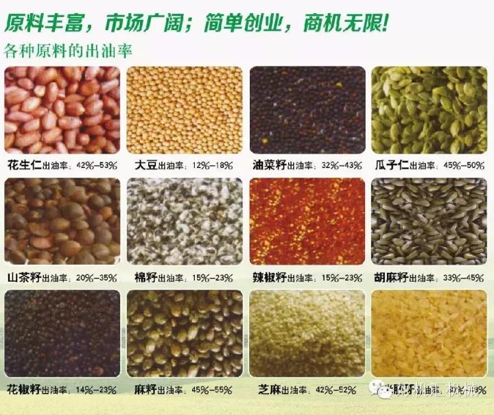 最先进冷热两用榨油机,全自动榨油机冷热两用