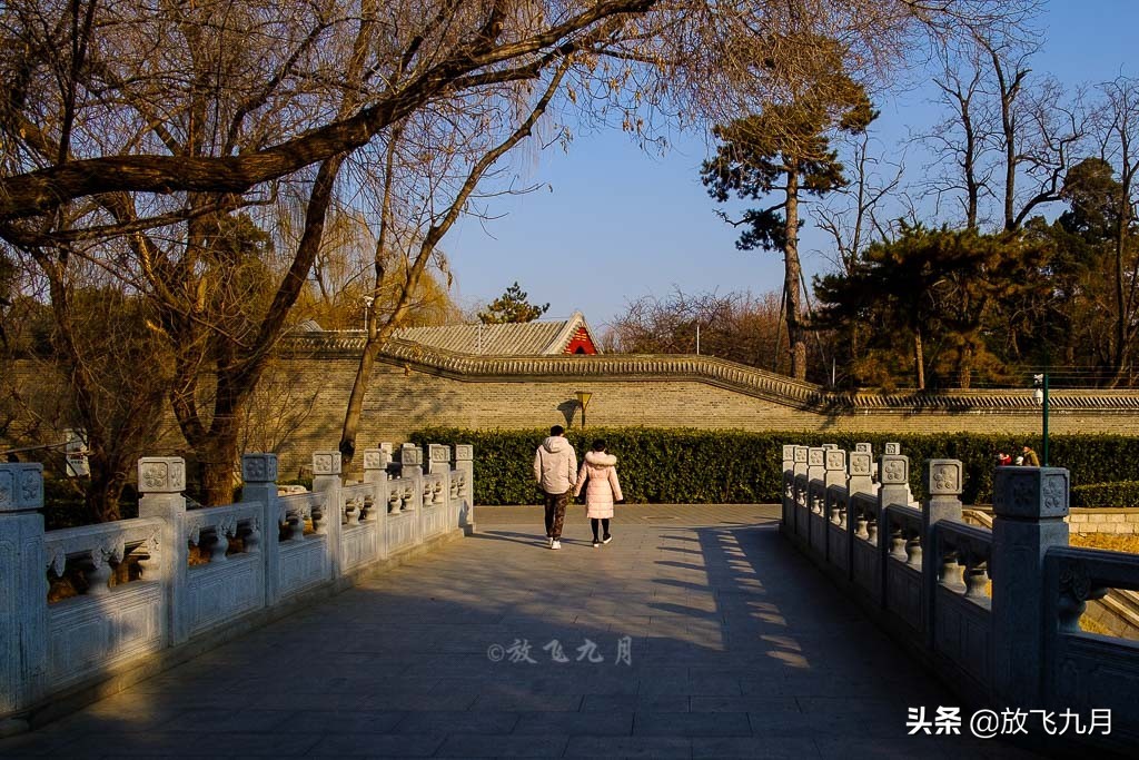 北京公园年卡哪个最划算,北京公园年卡100元能去几个公园