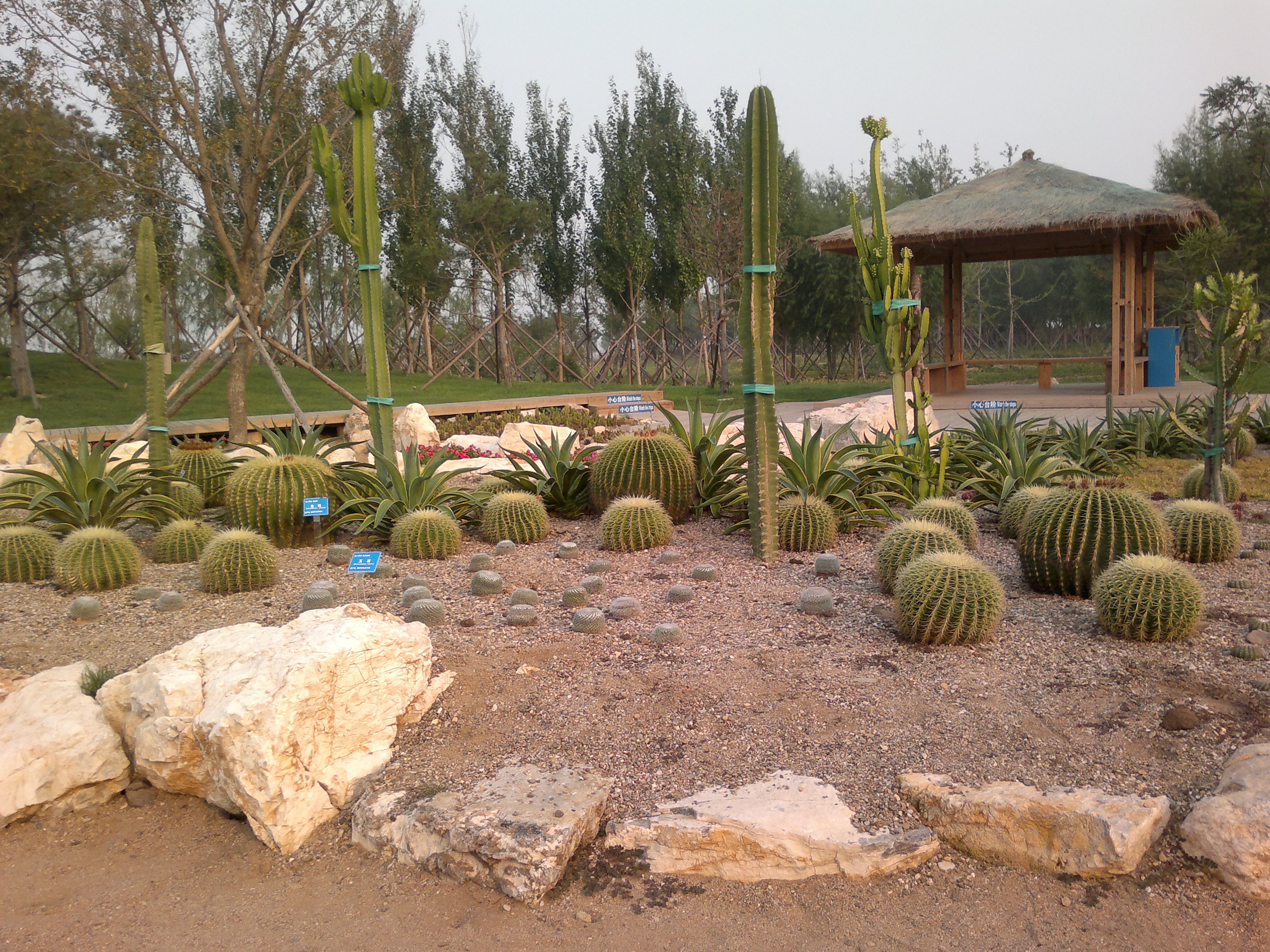 锦州世博园最好的地方,锦州世博园最佳游玩时间