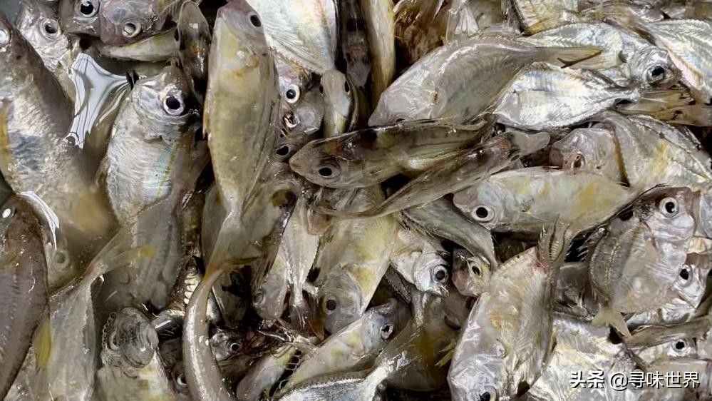 内行人买鱼,买鱼时内行人专买的5种鱼