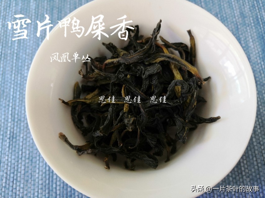 如何冲泡凤凰单枞,顶级凤凰单丛冲泡