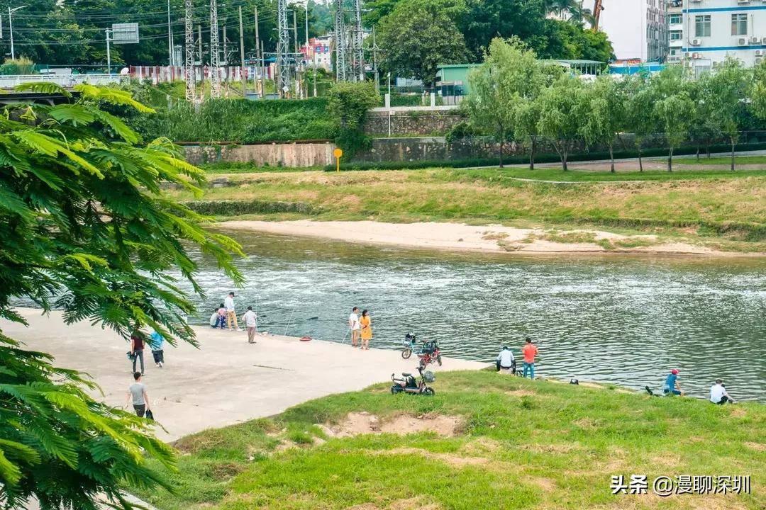 行走深圳歌曲,深圳观澜攻略