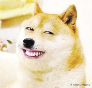 男人为啥有脆弱的一面,男人特别脆弱吗