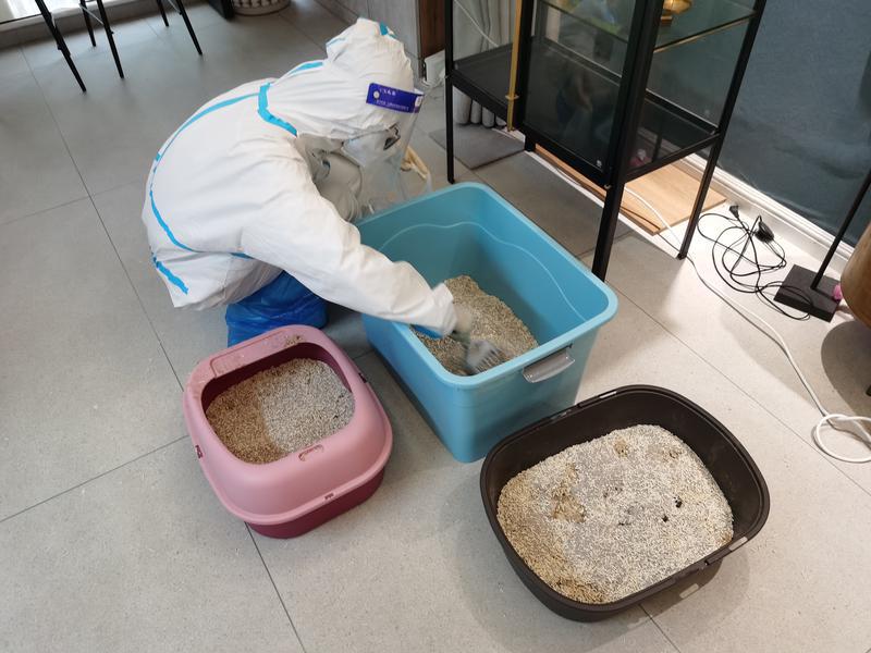 这个封闭十一天的小区温情故事每天都在上演