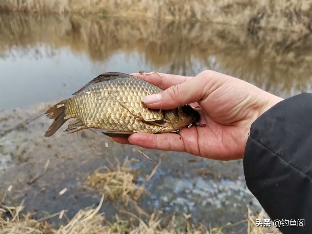 钓鱼如何买鱼线最好,钓鱼越久装备越少