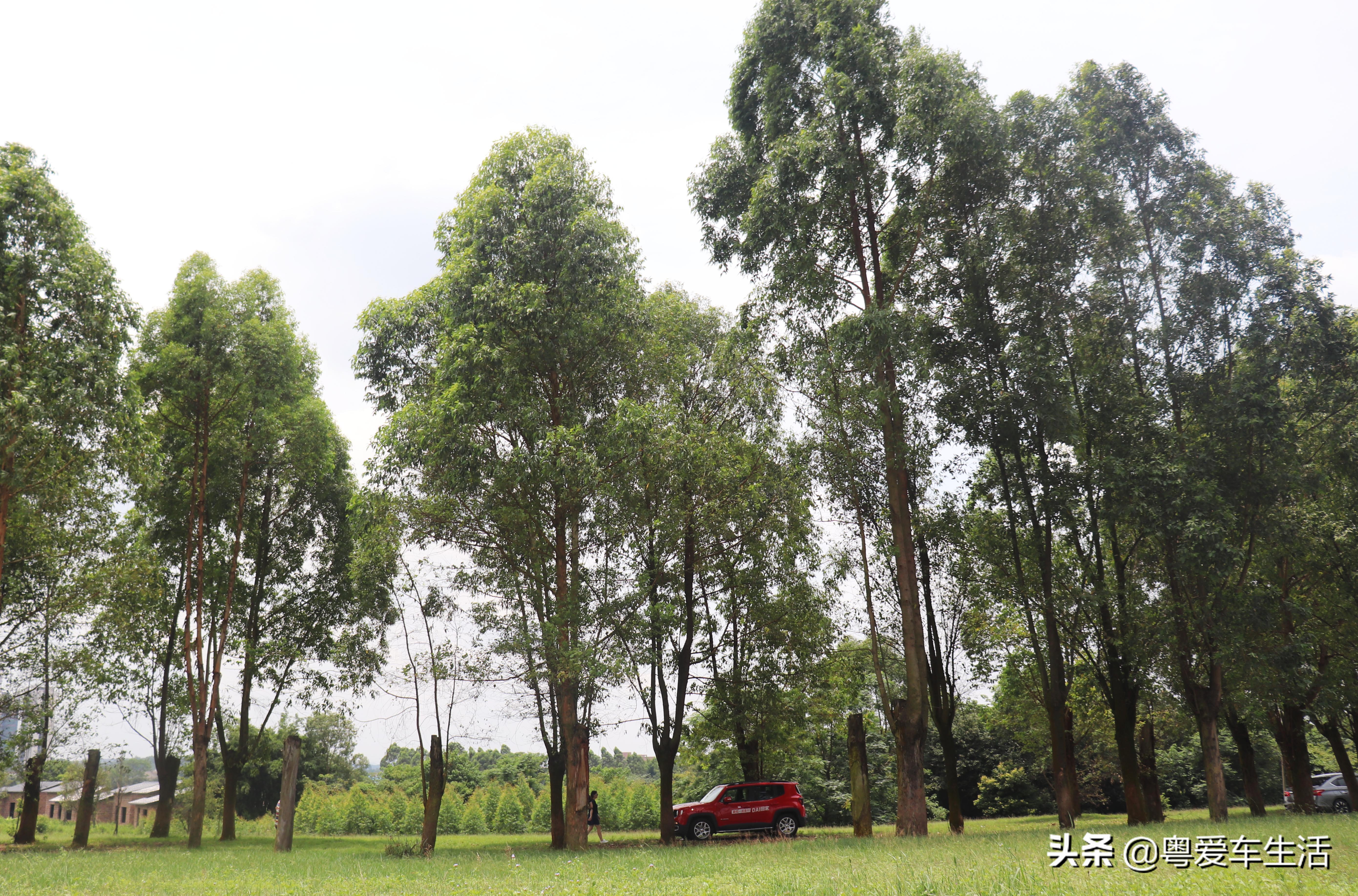 jeep指挥官沉浸体验,体验jeep大指挥官